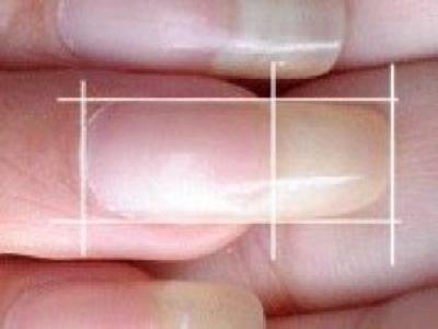 Nail And I Shape Perfect Nail Shape