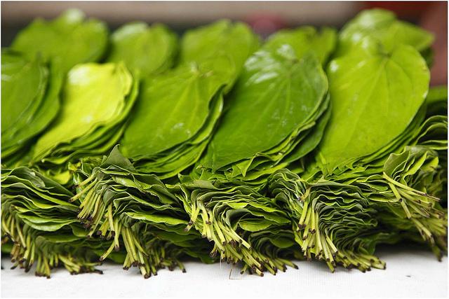 Betel nut leave paste for boils