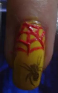 Fabulous Spider Design on your Nails