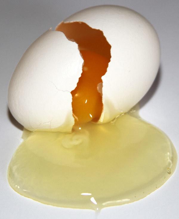homemade hair conditioner with egg