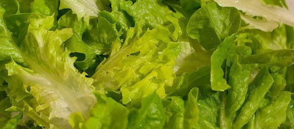 Lettuce leaves for dry skin Lettuce leaves for dry skin