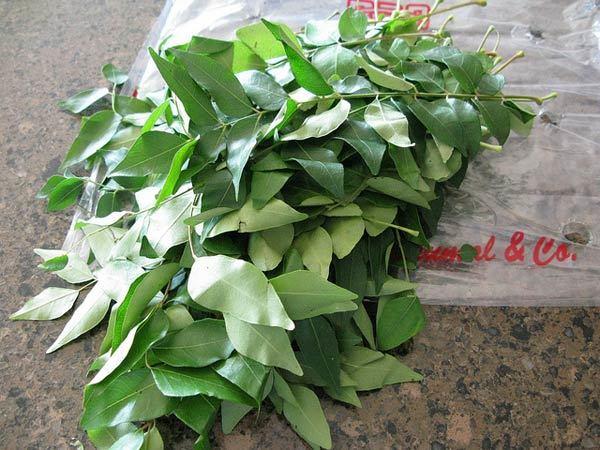 Curry leaves for hair Curry leaves for hair