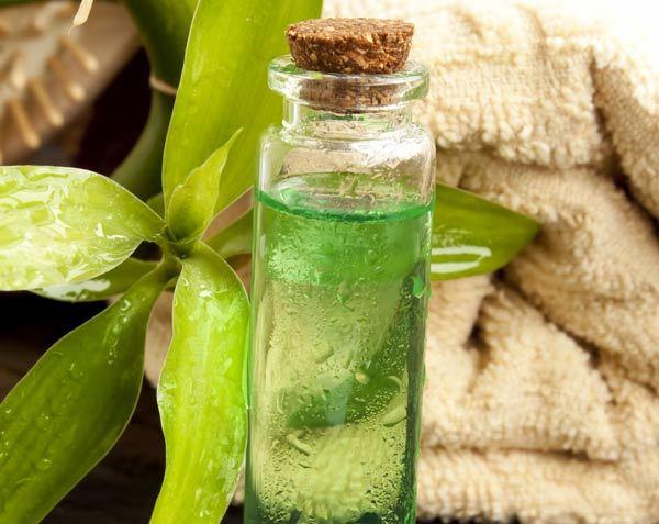 tree tea oil benefits on skin