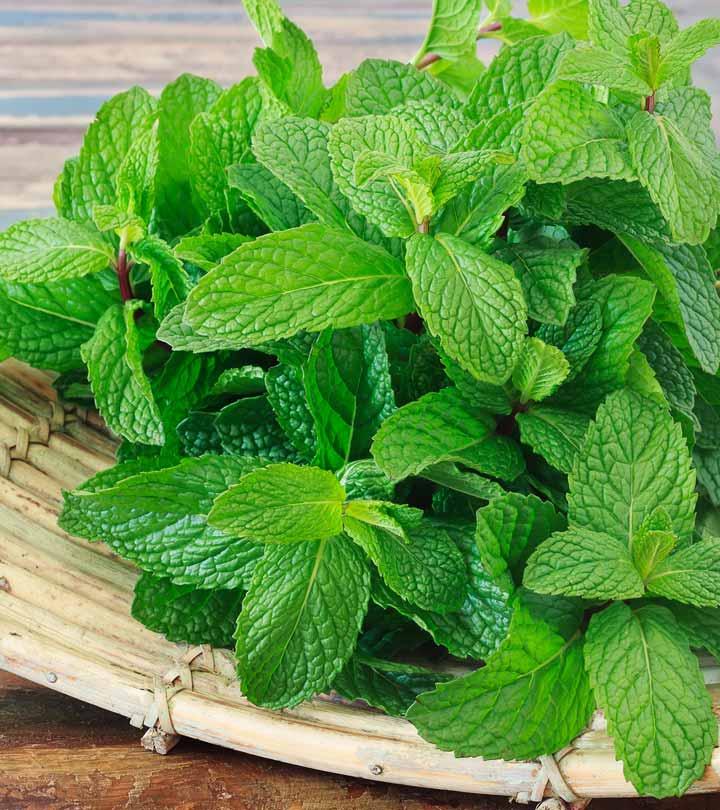 10 Benefits And Uses Of Mint (Pudina) For Skin!