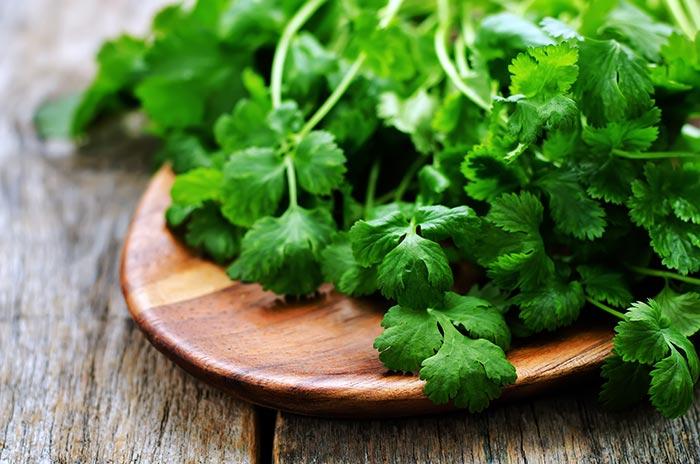 Coriander Lip Treatment For Soft Pink Lips Coriander Lip Treatment To Get Pink Lips Naturally