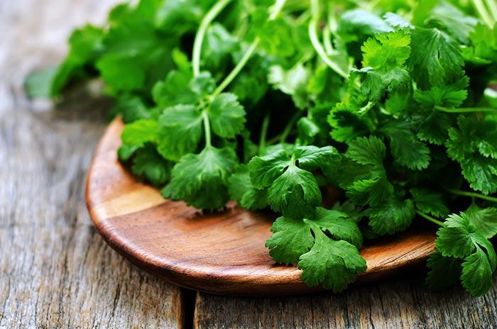 Coriander Lip Treatment