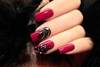 Nail Art For Beginners - Feathery Nail Art Feathery Nail Art