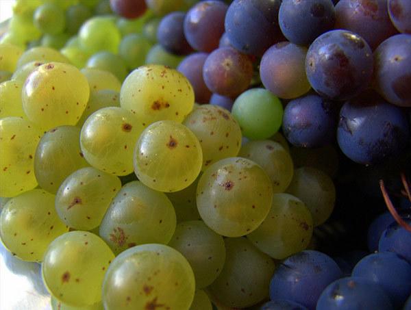 Grape Face Mask