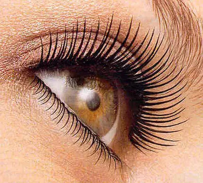 eye lash