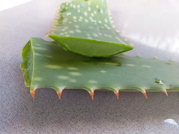 Aloevera for hair frowth Aloevera for hair frowth
