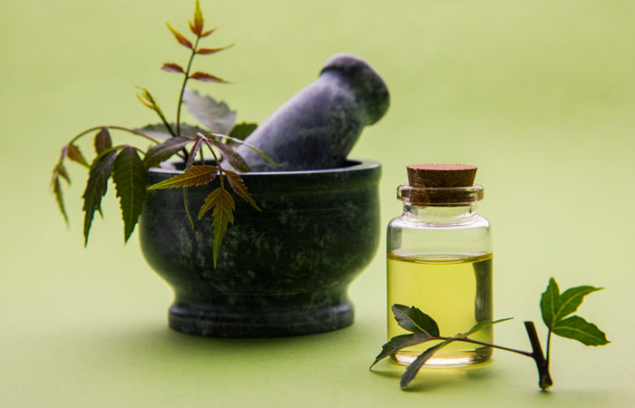 Image result for neem and olive oil for dandruff