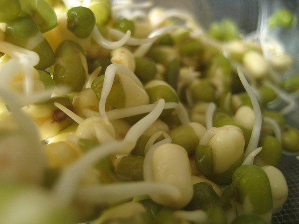 sprouts benefits for hair