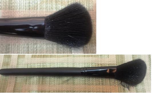 blush brush for makeup