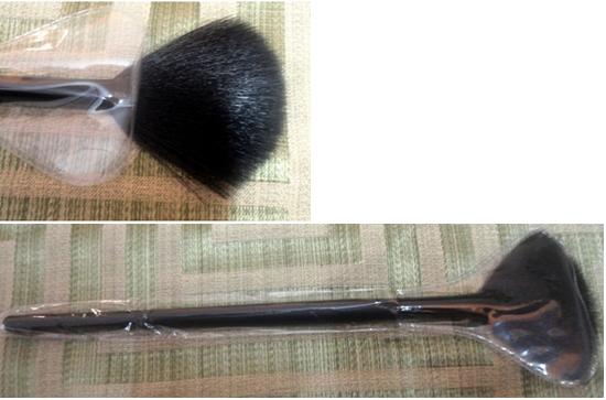 fan brush for makeup