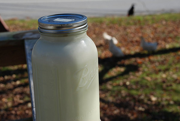 raw milk benefits for hair growth