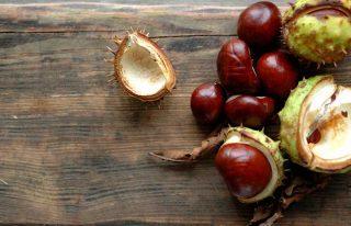 How To Get Rid Of Spider Veins - Horse Chestnut 11. Horse Chestnut