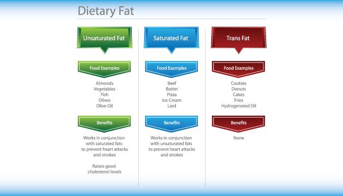 Three Types Of Fat 4