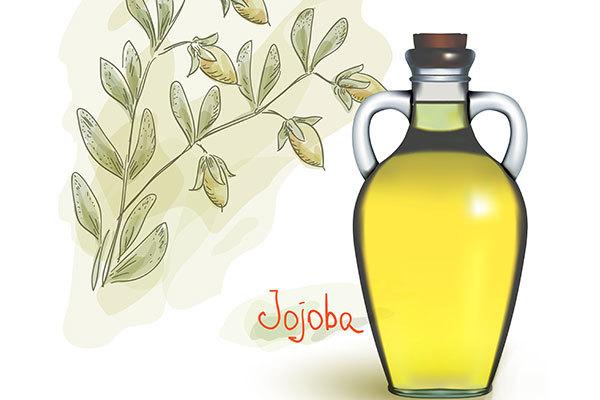 Jojoba-Oil-For-Hair-Growth1.jpg