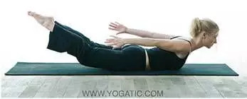 Locust Pose