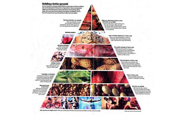 food pyramid chart food pyramid chart