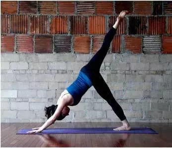 legged Dog Pose