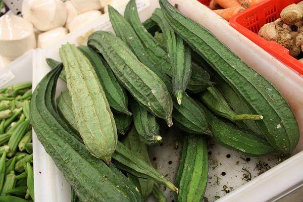 ribbed gourd