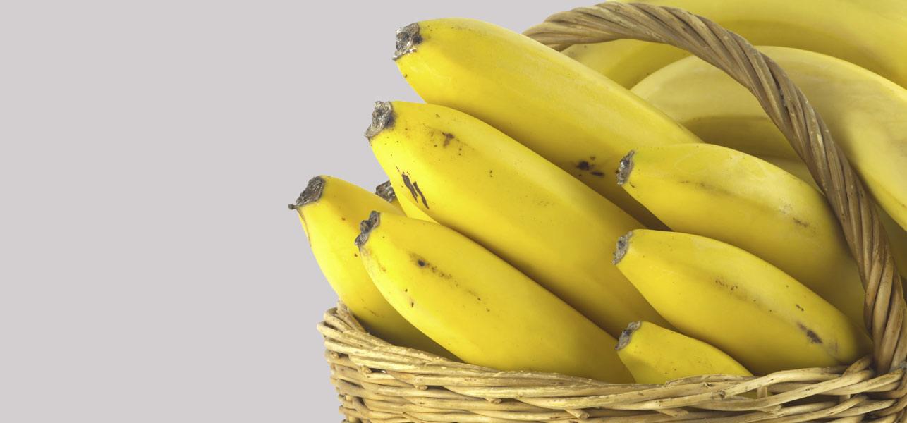 Arana del banano