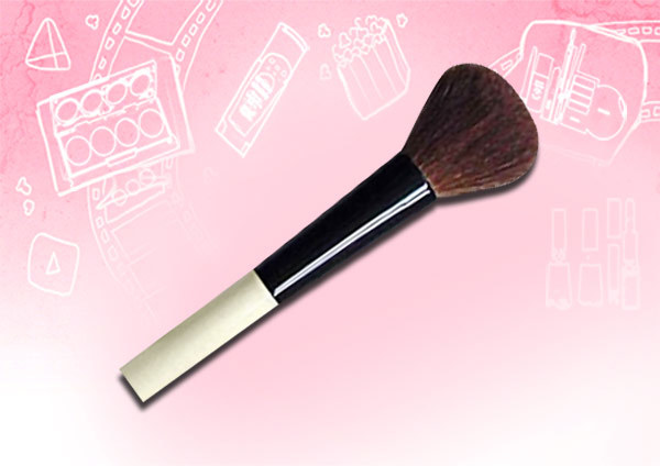 blush makeup brushes