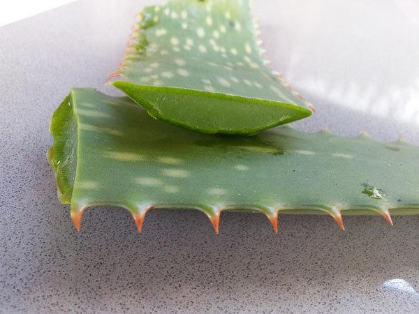 aloe vera benefits for skin aloe vera benefits for skin