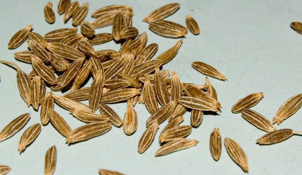 cumin seeds benefits hair
