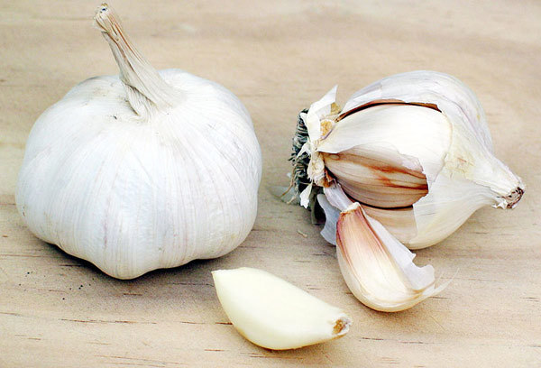 garlic benefits for hair growth