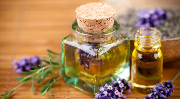 lavender oil benefits for hair