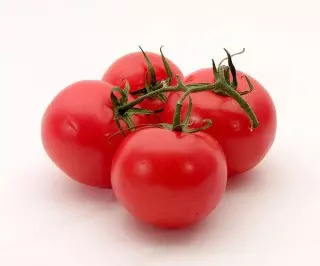 Tomato Tomato