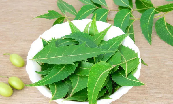 neem leaf face pack