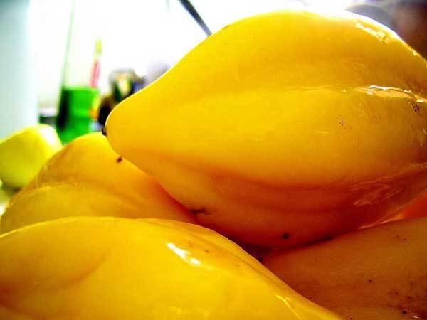 beauty benefits of papaya beauty benefits of papaya