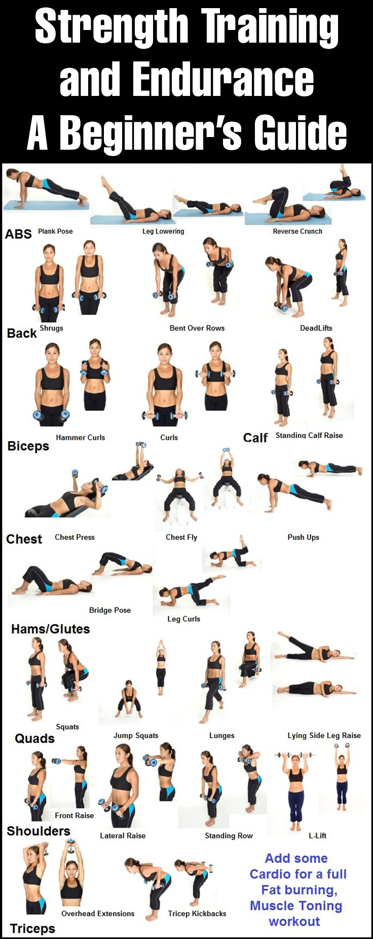 strength-training-and-endurance-a-beginner-s-guide