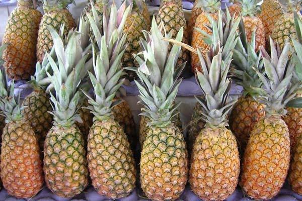 amazing-health-benefits-of-pineapples.jpg