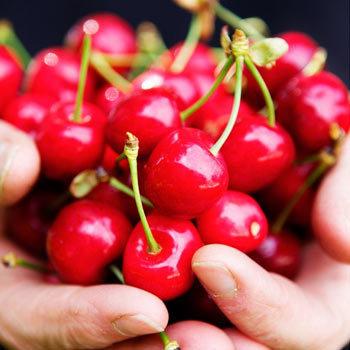 Top 10 Health Benefits Of Cherries