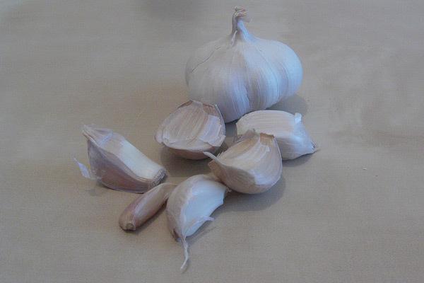 health benefits of garlic juice health benefits of garlic juice