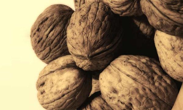 walnuts for healthy walnuts for healthy