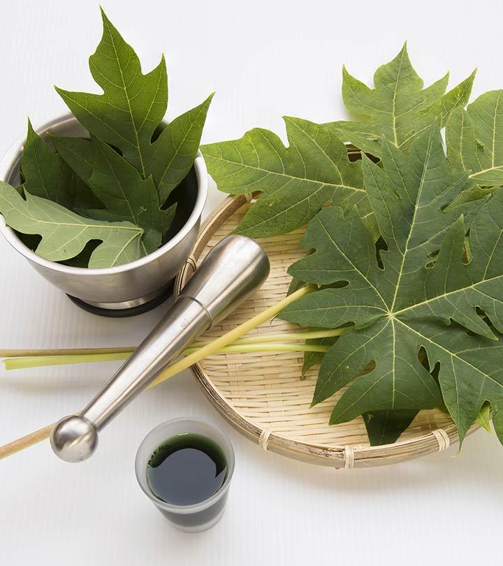 15 Best Benefits Of Papaya Leaf Juice for Skin, Hair And Health - Try Them Out