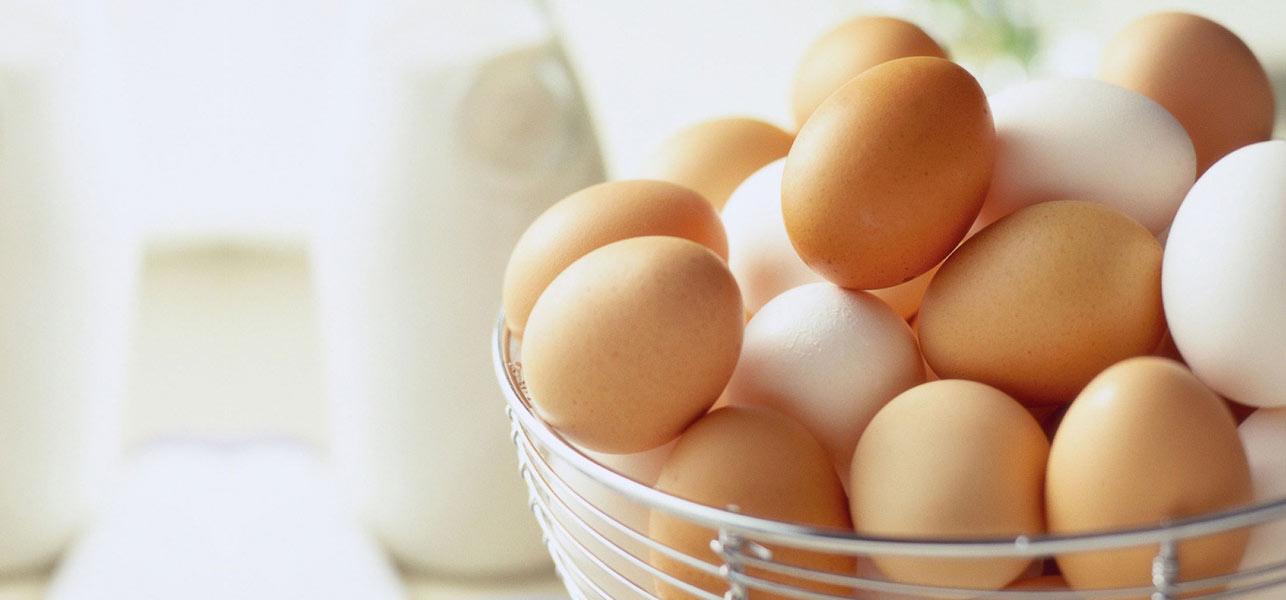 Best Selenium Rich Foods Our Top 10