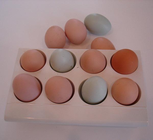 Foods rich in Vitamin B3 Foods rich in Vitamin B3