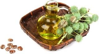 Castor Oil Benefits - What is Castor Oil Castor Oil Benefits