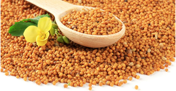 benefits of mustard seeds