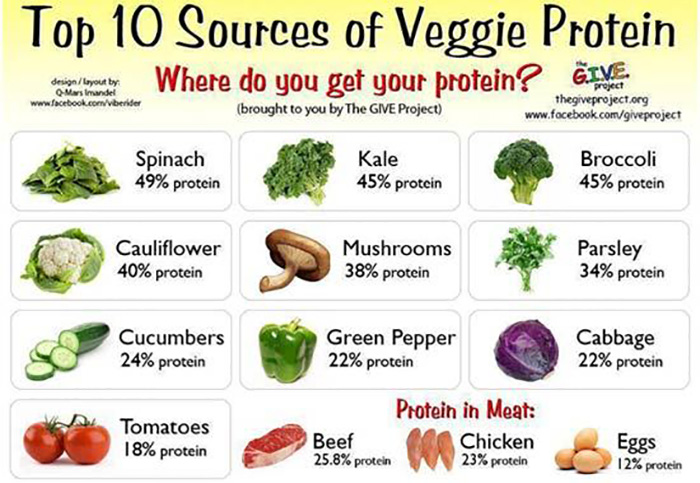 High Protein Vegetarian Recipes Weight Loss