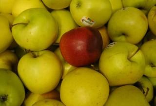 Apple Apple