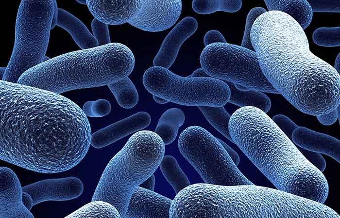 Black tea versus bacterial infection
