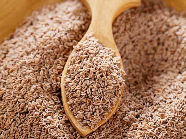 Fennel Seed Powder For Weight Loss