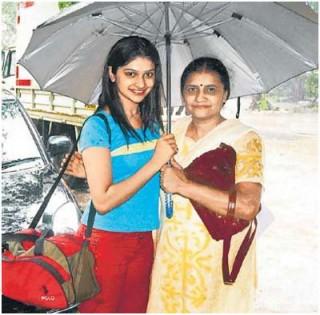 new bee species new bee species